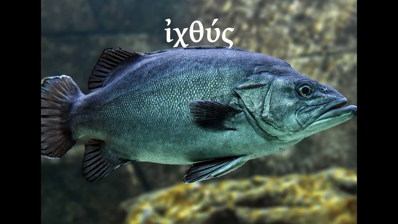 Reconstructed Koine Alphabet Explained ζ - μ