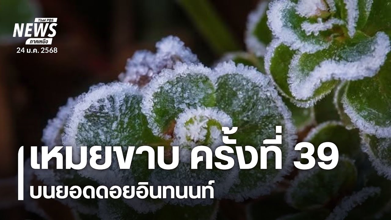เกิดเหมยขาบบนยอดดอยอินทนนท์ จ.เชียงใหม่