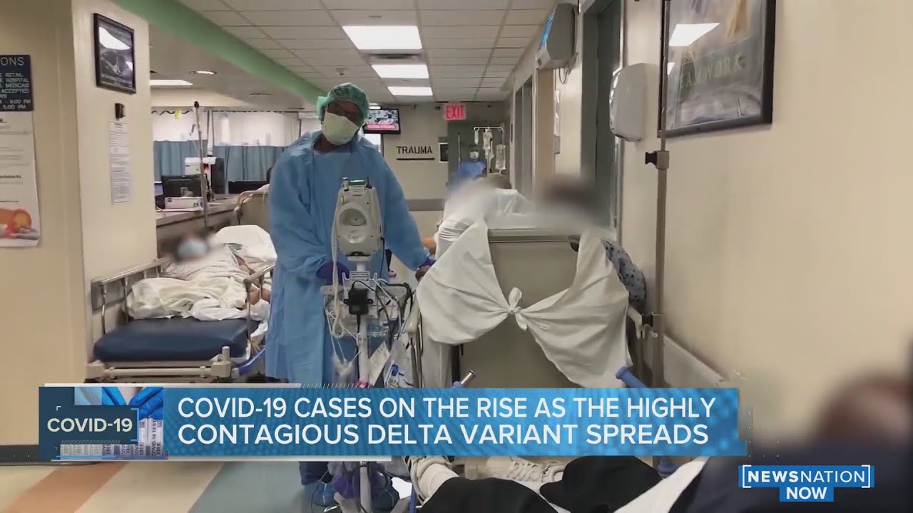 Vaccine misinformation debate has different perspectives across party lines