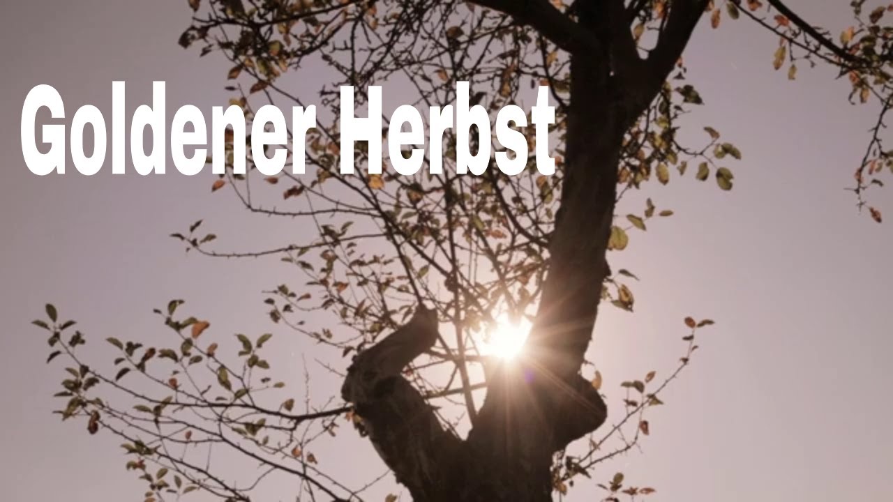 Goldener Herbst 2018 – Natur, Kultur und eine zauberhafte Zeit im Münsterland