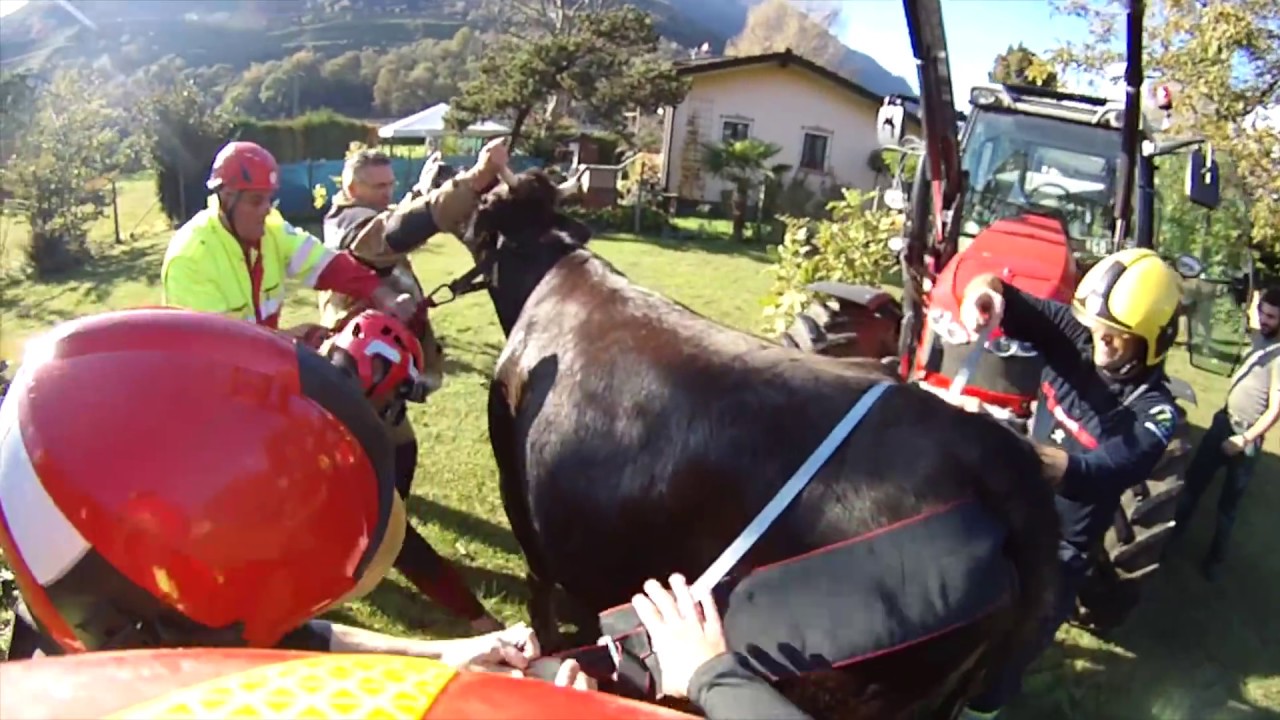 Pompieri Lugano - Riassunto interventi 2016