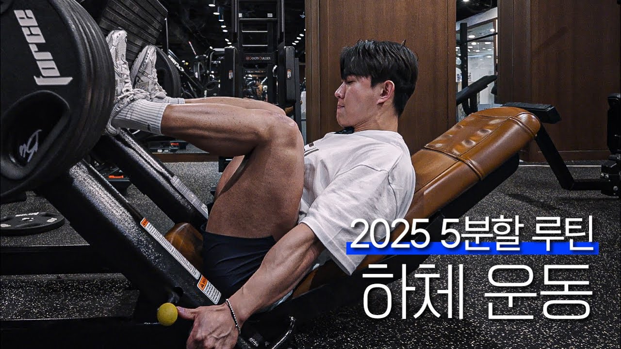 *허리 아픈 사람 필수 시청* 허리가 안 좋아도 할 수 있는 하체운동 | 5분할 루틴 [2025]