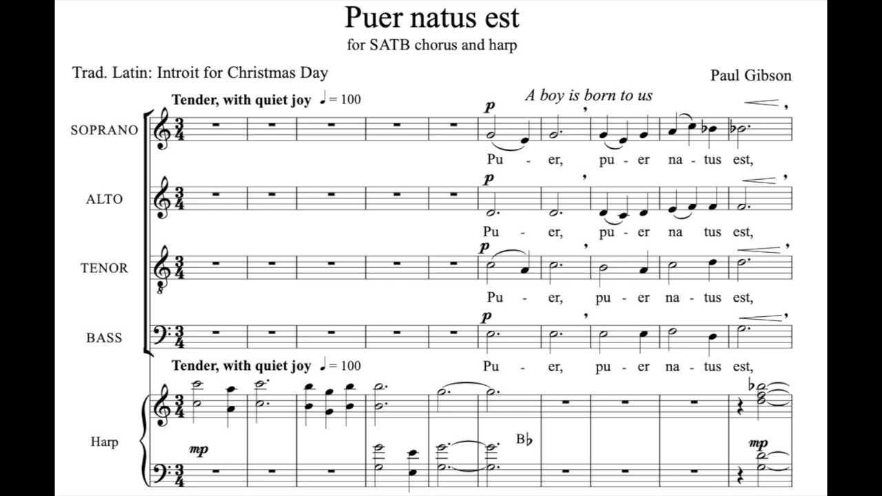 Paul Gibson: Puer natus est