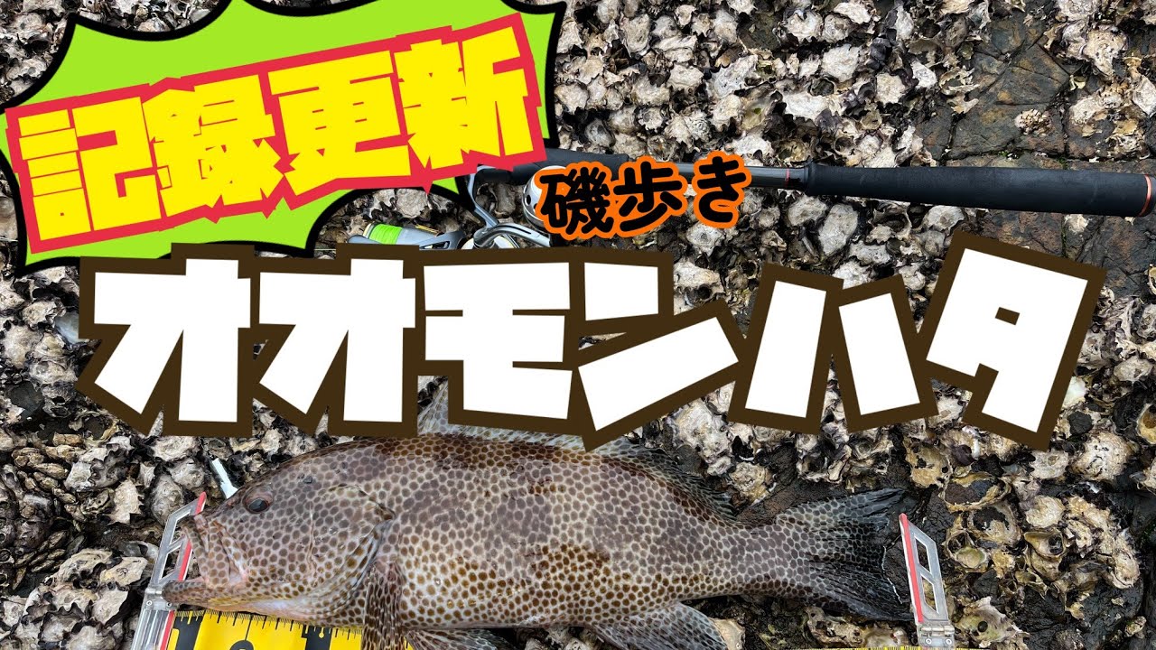 【磯歩き】今年最初の磯歩きで自己ベスト更新✨