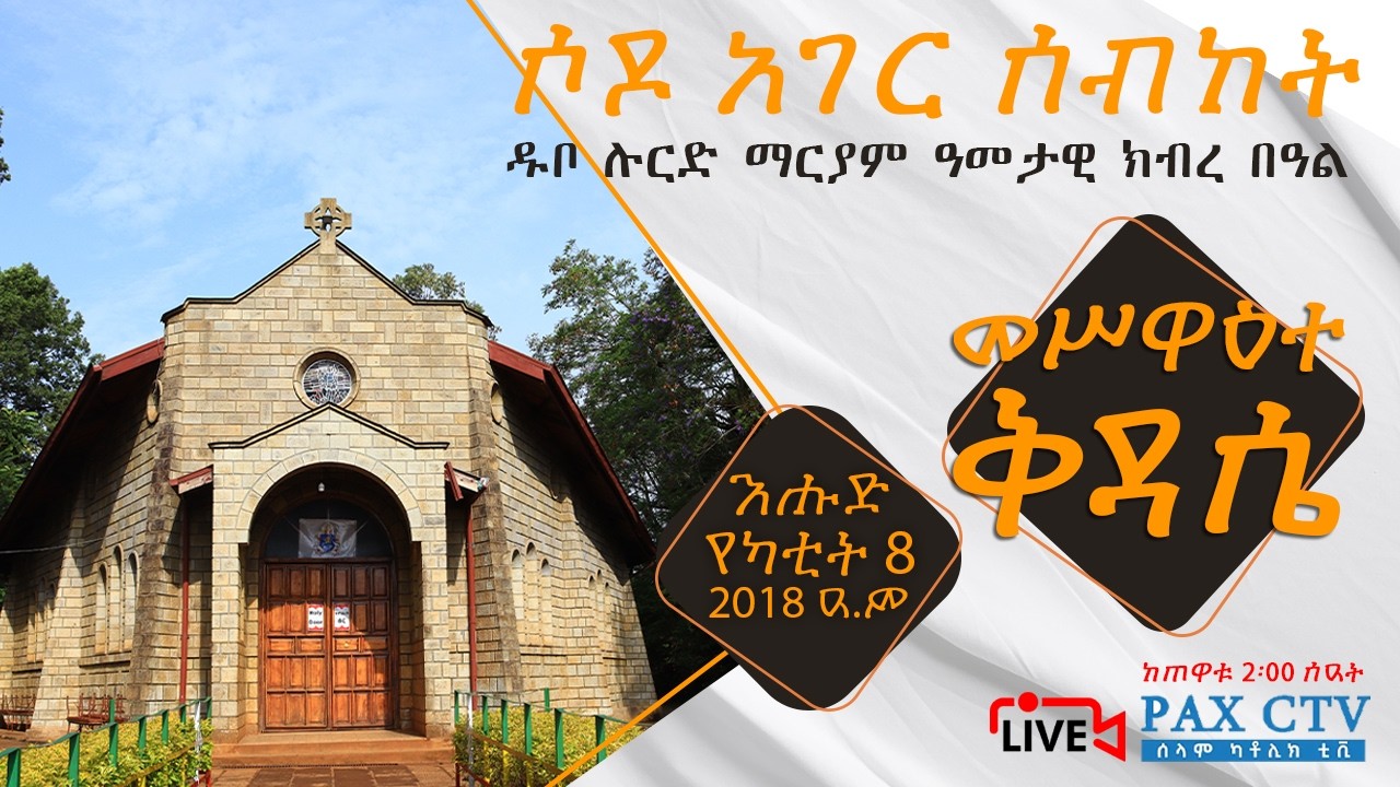 ዓመታዊ ክብረ በዓል መሥዋዕተ ቅዳሴ ቀጥታ ስርጭት ከሶዶ| ዱቦ ሉርድ ማርያም || Live Annual Feast from Sodo Our lady of Lourdes