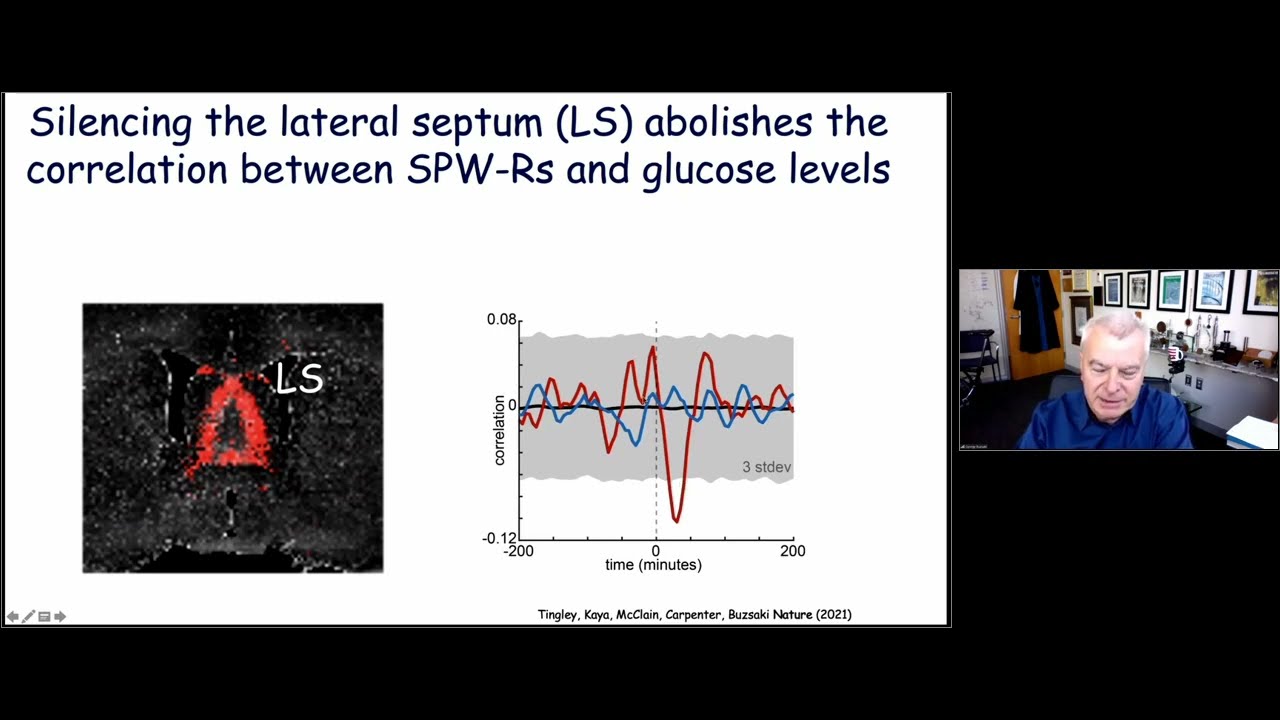Preconfigured Dynamics in Our Brains