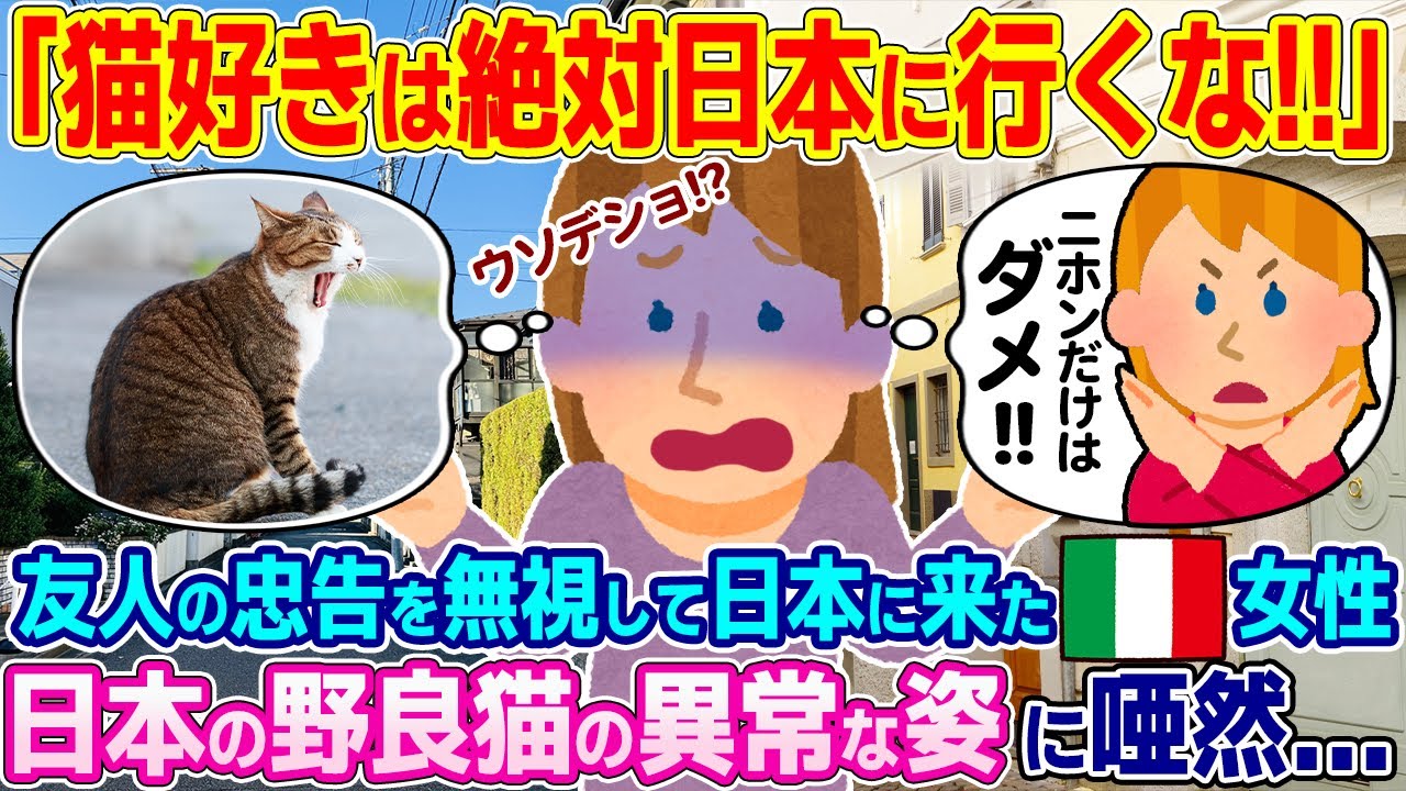 「猫が好きなら日本にだけは行ってはいけない」友人の忠告を無視して日本に来たイタリア女性、日本の野良猫の異常な姿に唖然...【ゆっくり解説】【海外の反応】