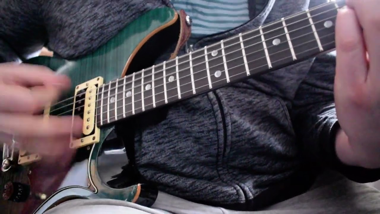 PRS SE Custom 22 Semi-Hollow body Korea
