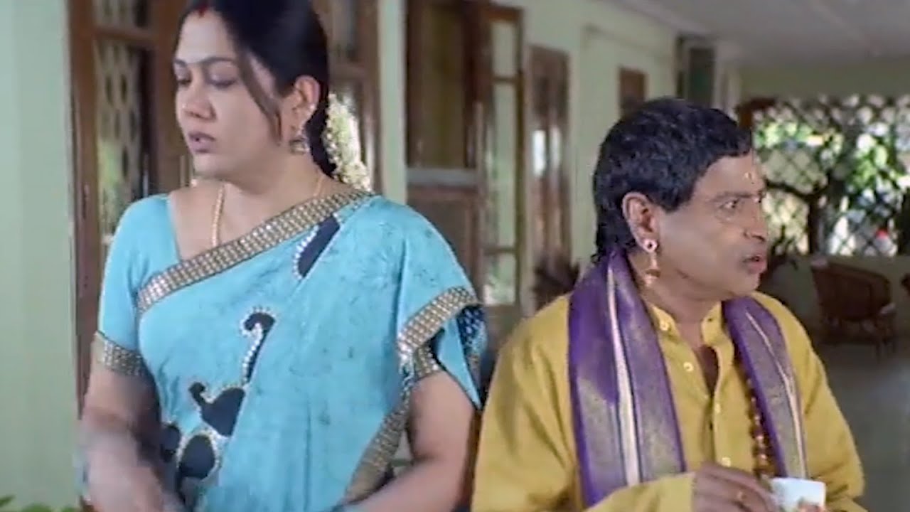 Hema & MS Narayana Back To Back Hilarious Comedy Scenes || Telugu Comedy Scenes || TFC Movies