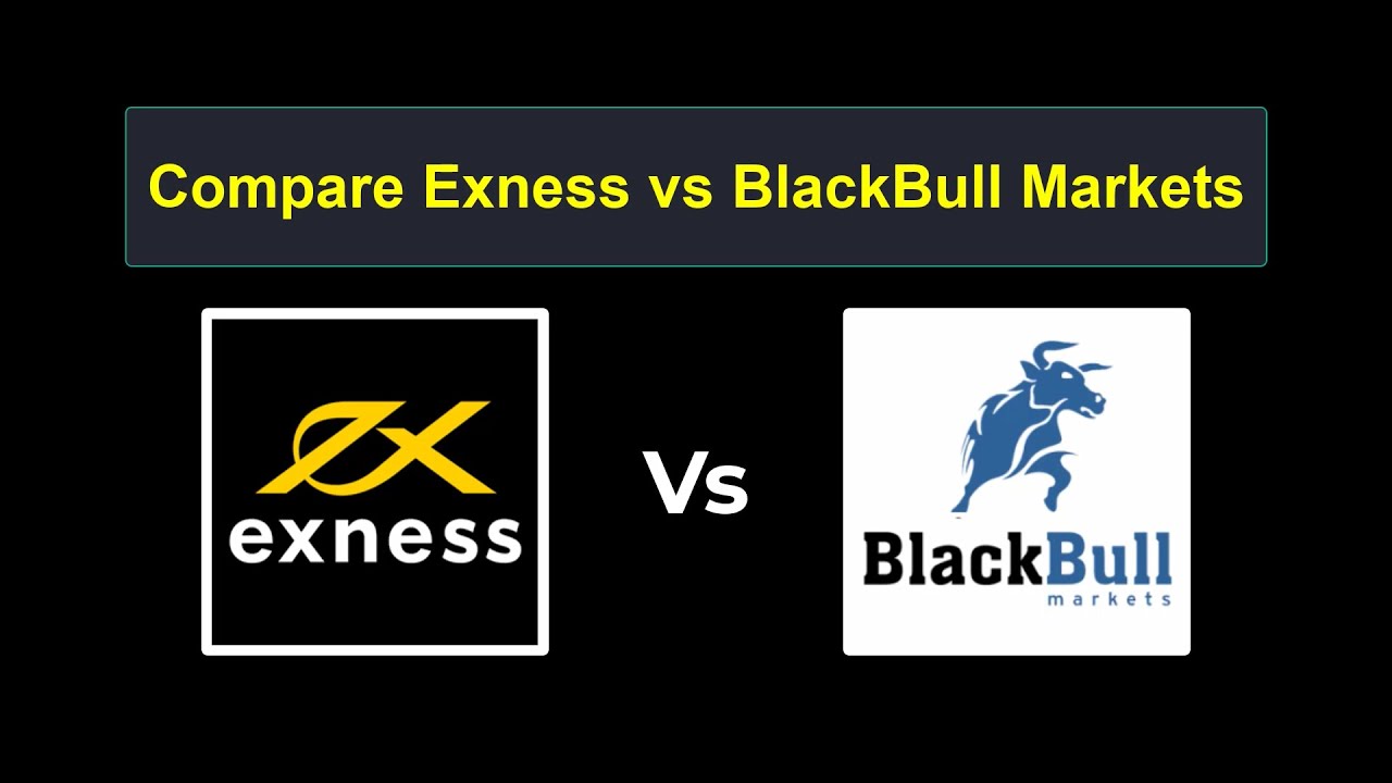 Compare Exness with BlackBull Markets - Which is better? Which broker to choose?