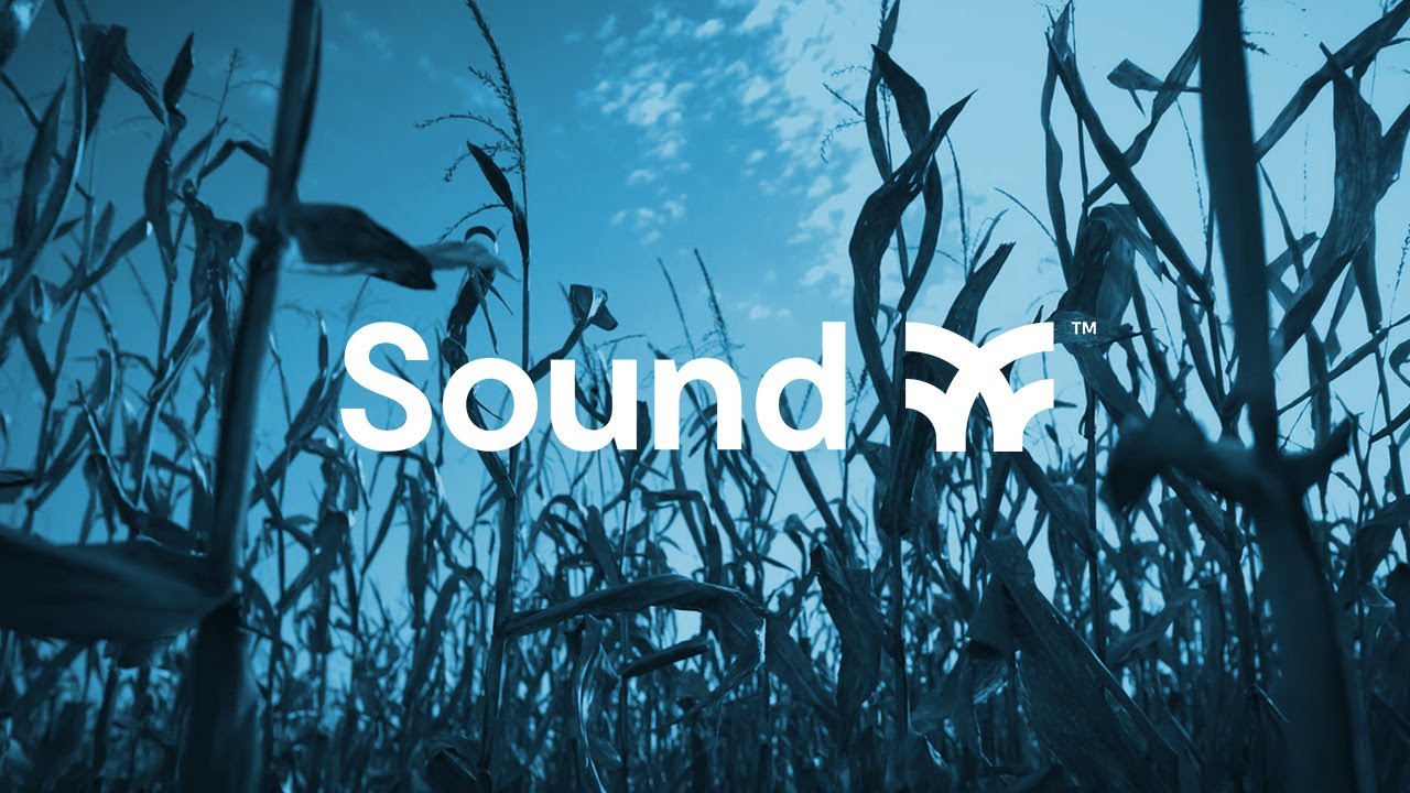 Sound Agriculture Enhances Soil in the Fight Against Climate Change