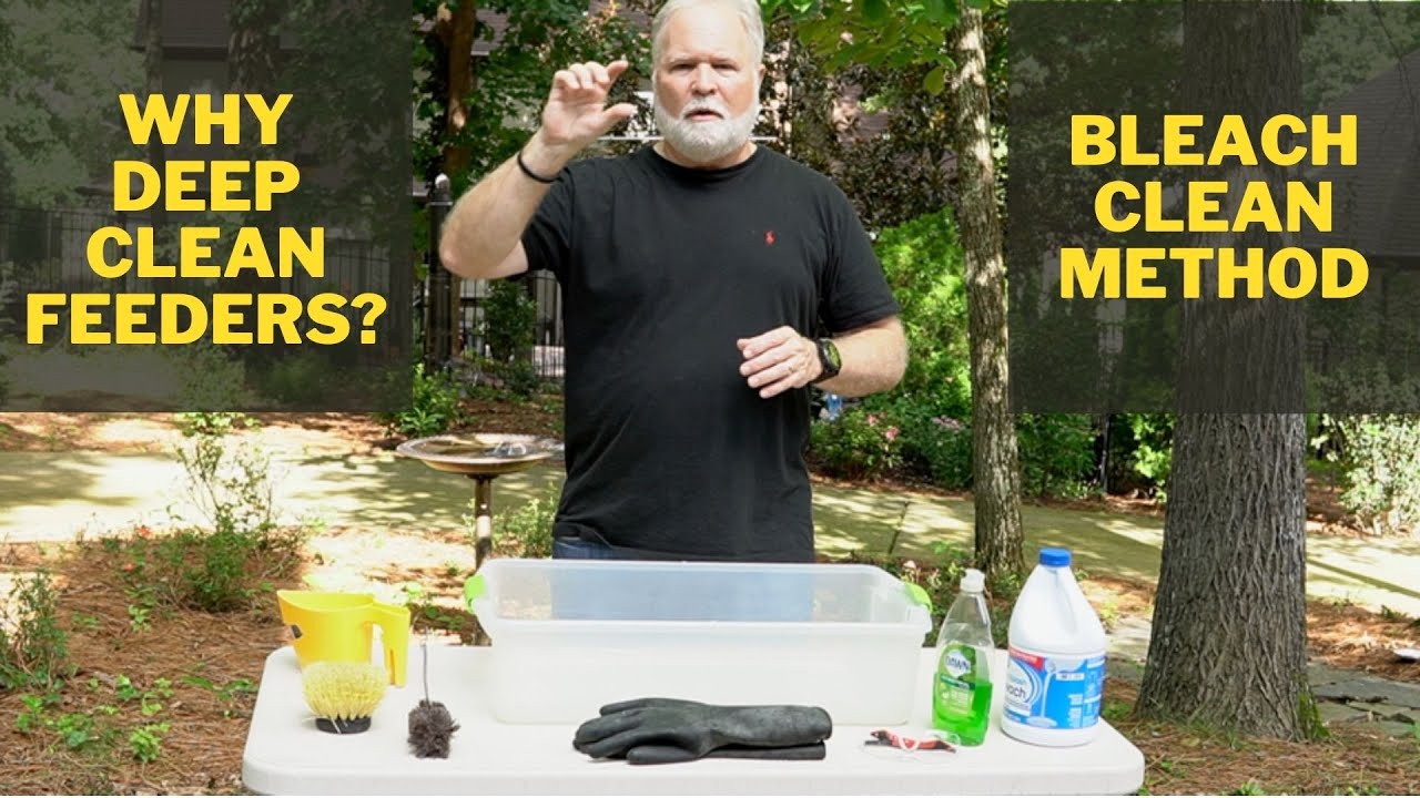 Bird Feeder Deep Cleaning