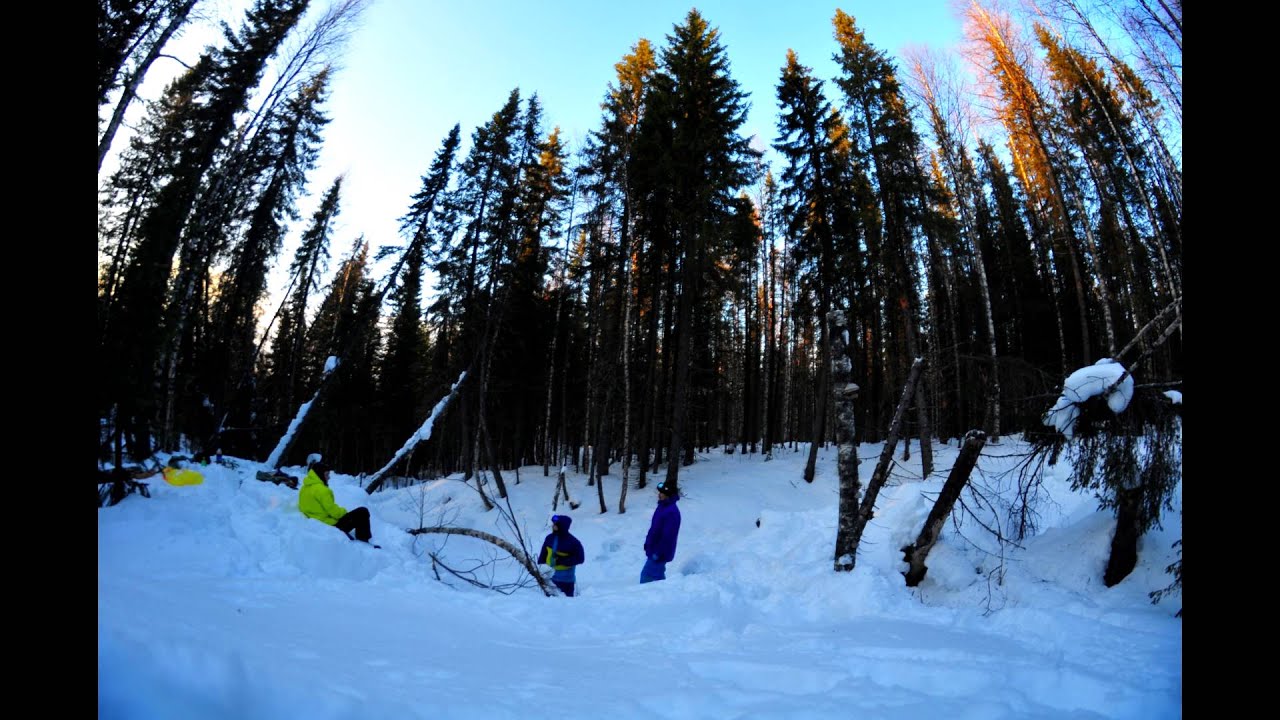 Forest show