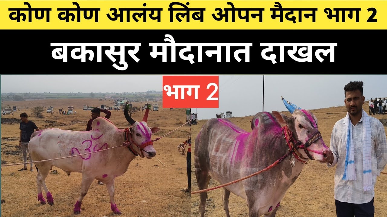 कोण कोण आलंय लिंब ओपन मैदान भाग 2 बकासुर मौदानात दाखल 
