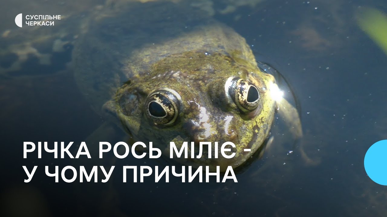 На Черкащині міліє річка Рось