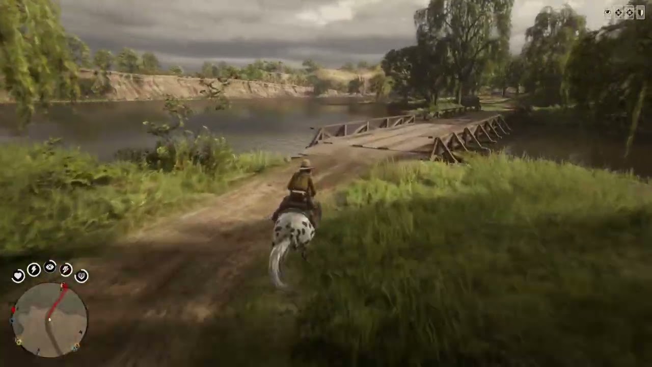 Red Dead Redemption 2 on-line