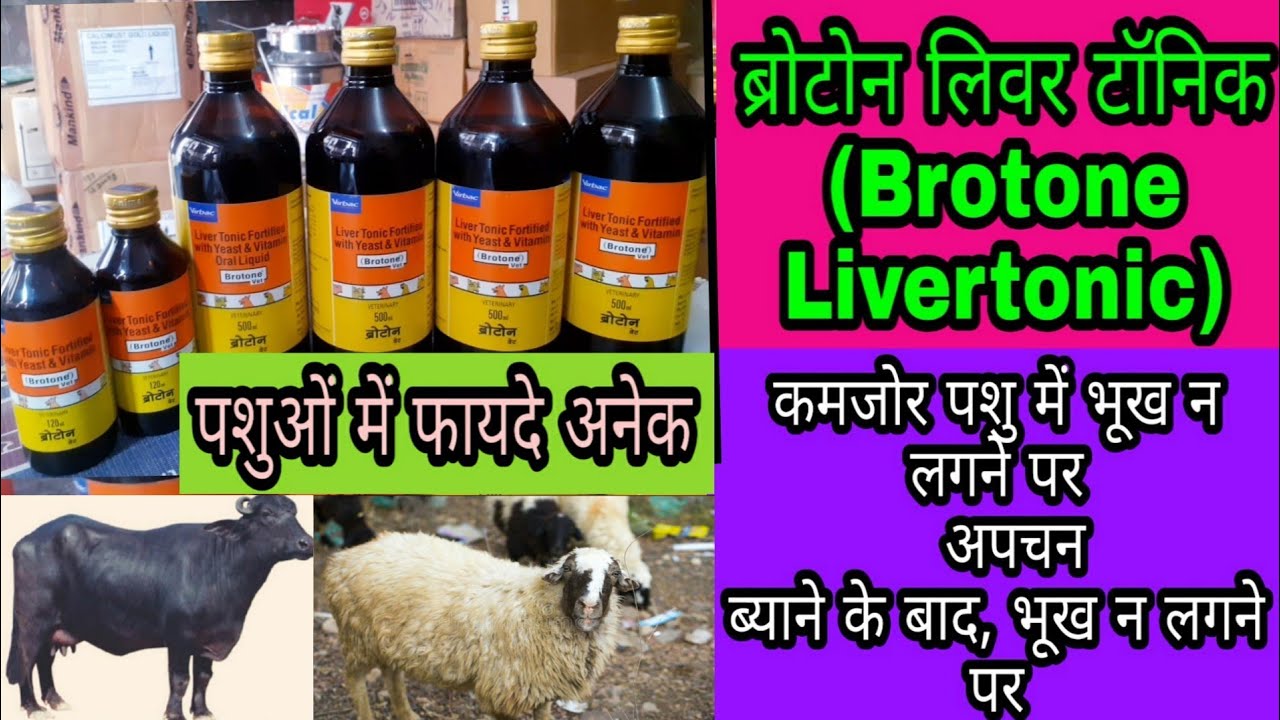 ब्रोटोन लिवर टॉनिक(Brotone)पशु को बीमारी और कमजोरी से जल्दी से उबारने के लिए, भूख  लगने पर क्यों ?