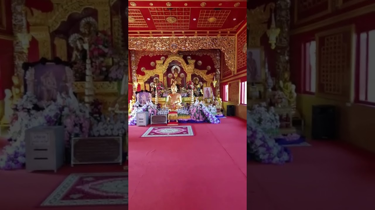 Tajlandia budzi Polskę Martyna i Daniel SZYSZ IRL stream | 🇹🇭🛵 NA ŻYWO 
