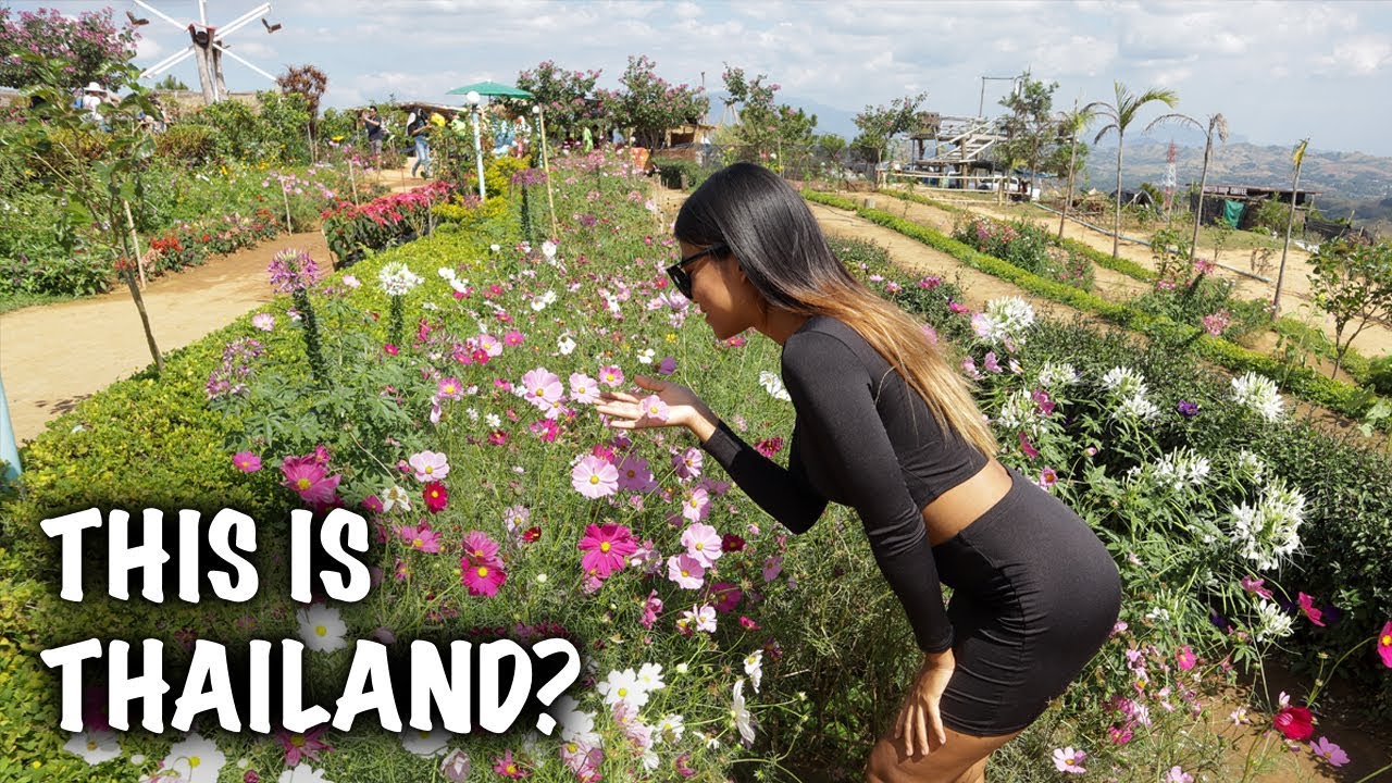 THAILAND HOLIDAYS - BEST THINGS TO DO IN KHAO KHO