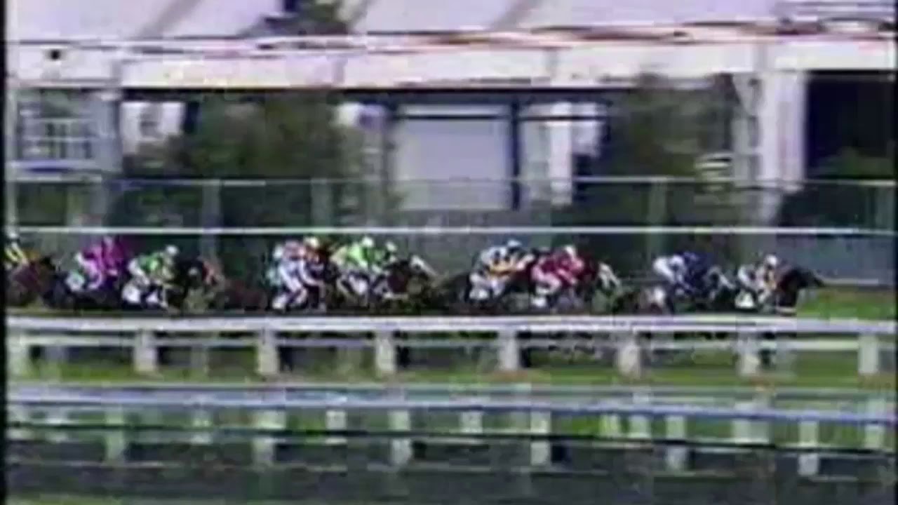 1992 Rosehill Guineas - Naturalism vs Veandercross