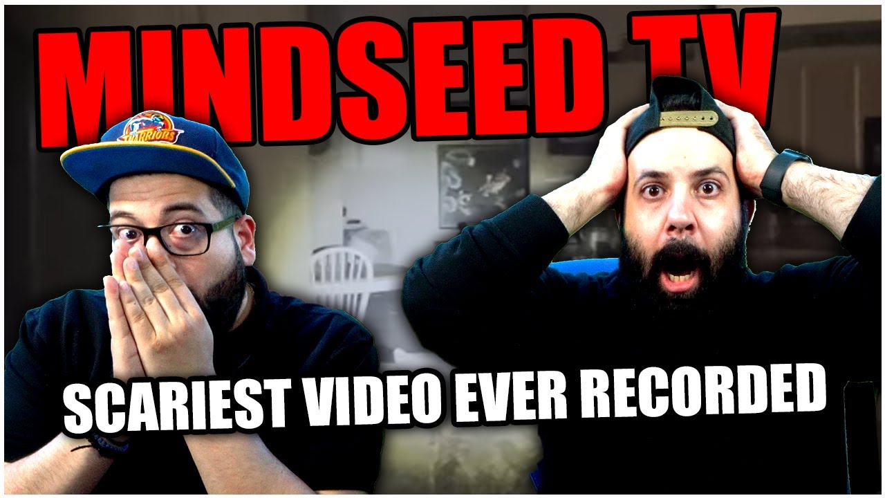 MINDSEED TV ALMOST STOPPED THE ENTIRE SHOW!! Scariest Video Ever Recorded | REACTION!!