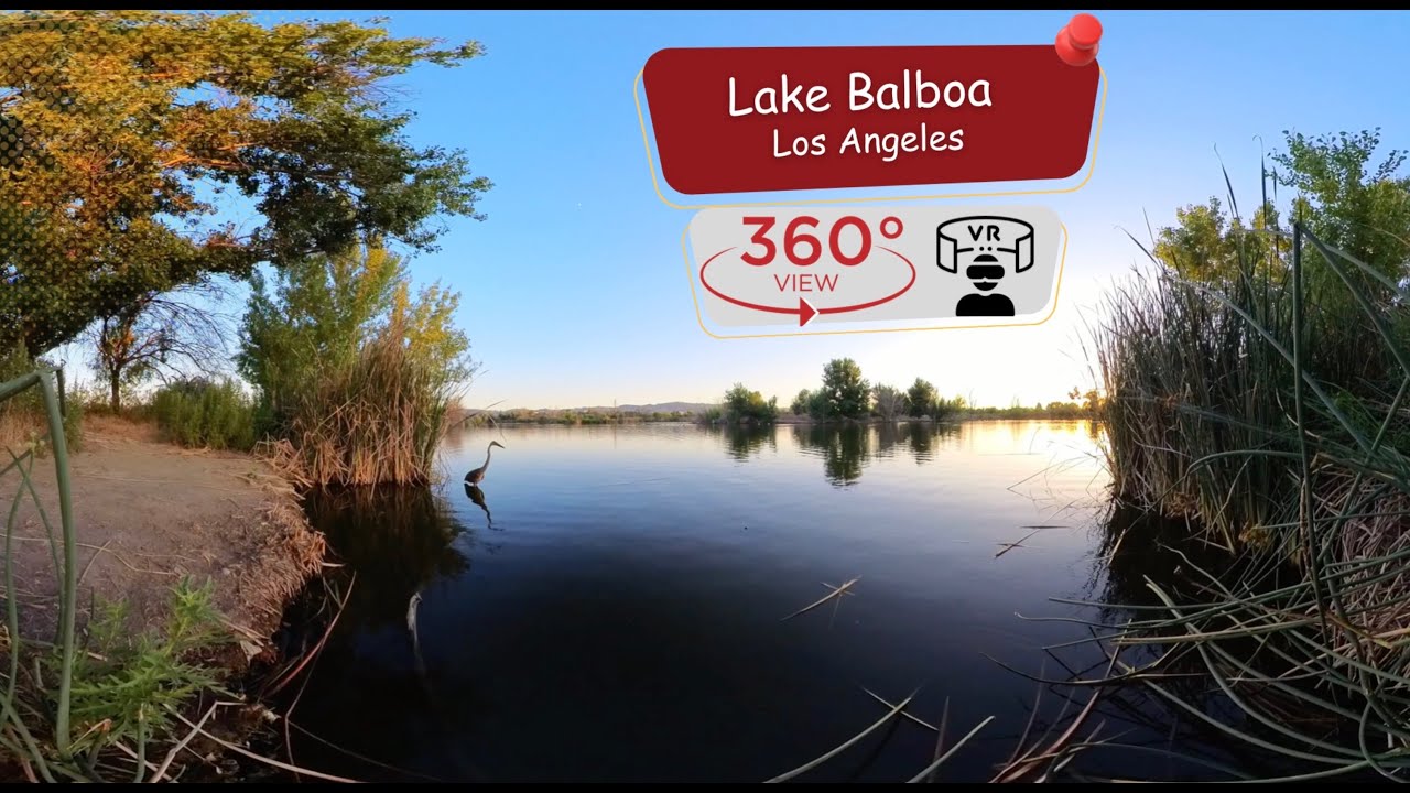 Explore the Serene Beauty of Nature 360° Vr video #vrvideo360