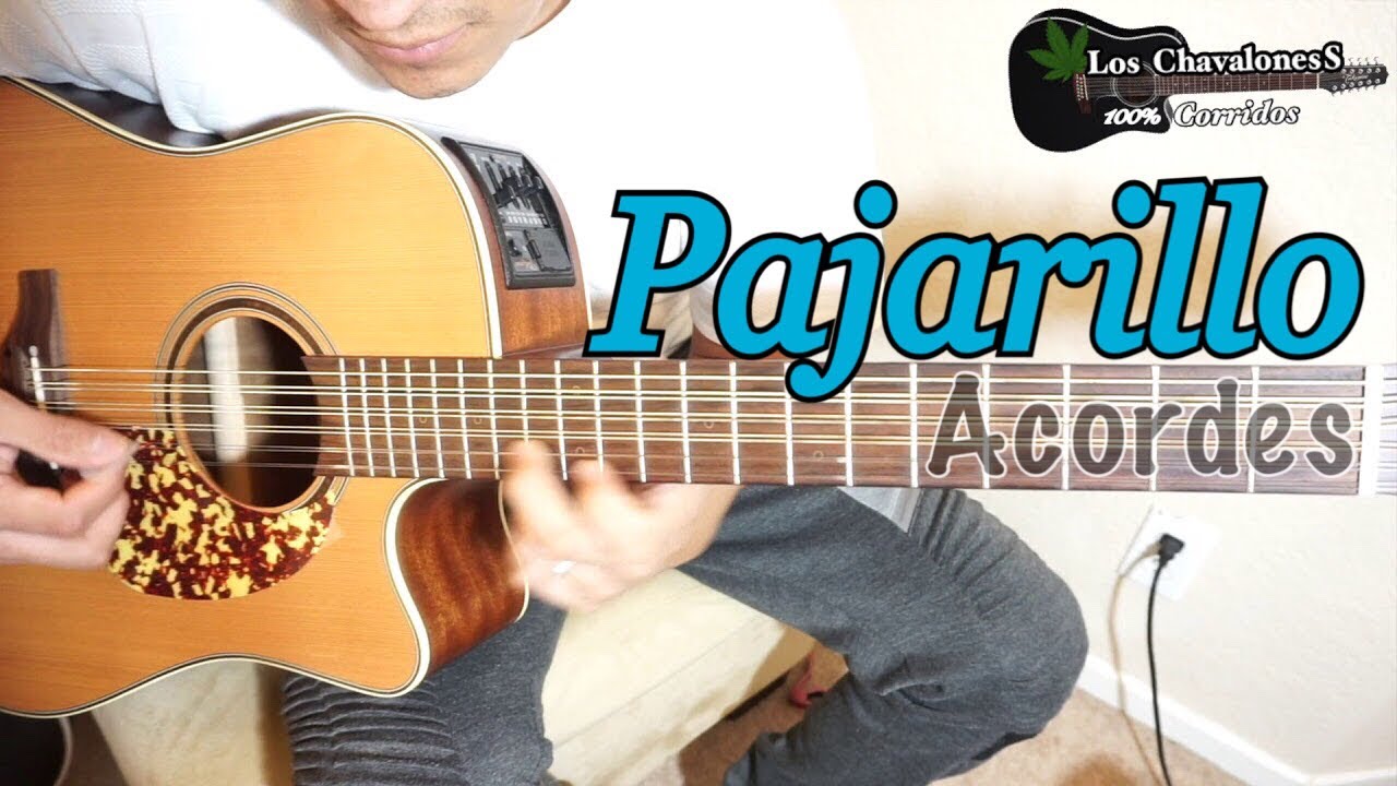 PAJARILLO  acordes
