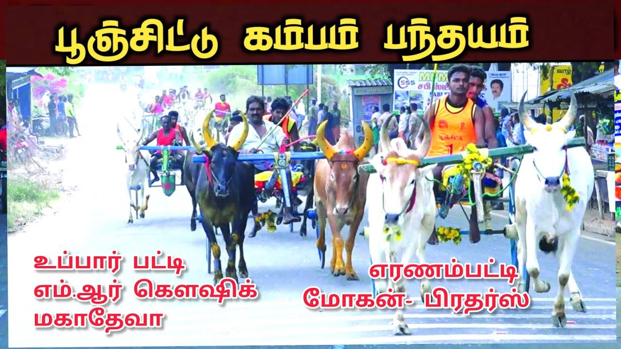22-2-2026 பூஞ்சிட்டு கம்பம் 