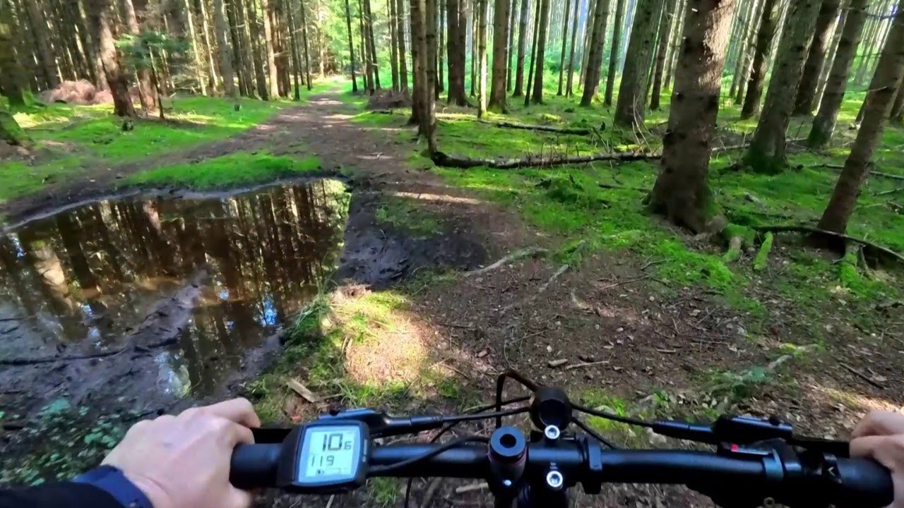 Morning ride through the forest, nature and along the bicycle path with the e-bike Cube Fold 500