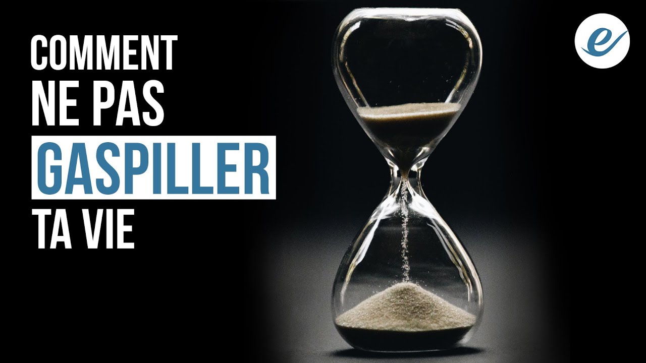 COMMENT NE PAS GASPILLER TA VIE - Luc Dumont