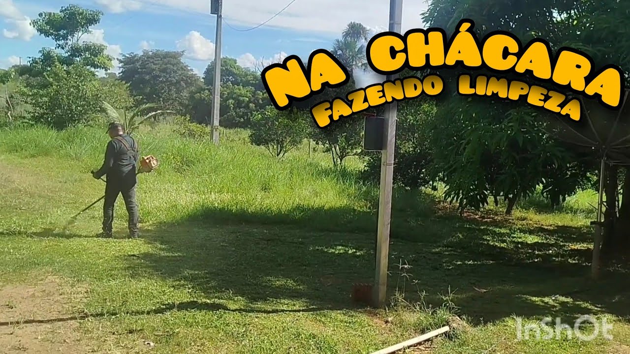 Fomos pra chácara  pra fazer  limpeza do pomar!!!