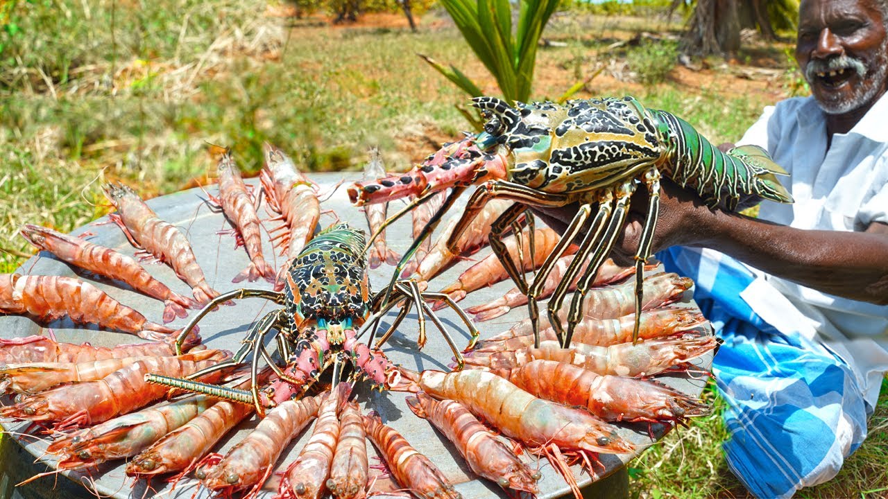 GIANT LOBSTER WITH COCONUT MILK RECIPE | முரட்டு சிங்கி இறாலுடன் தேங்காய்ப்பால் | Village Grandpa