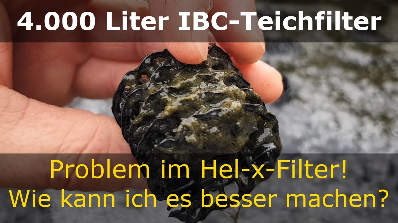 Probleme im Heli-X-Filter - Was kann ich tun? | Das gibt es Neues | 4.000 Liter IBC-Teichfilter #13