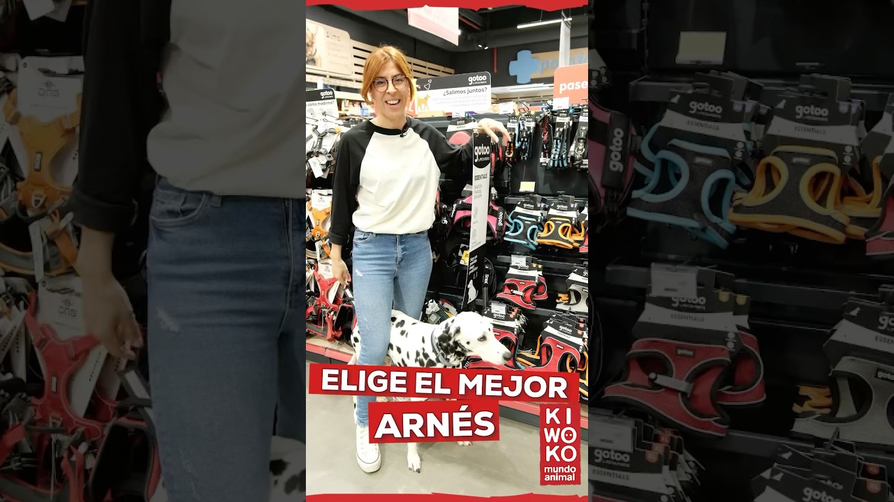 &iquest;Cu&aacute;l es el Mejor Arn&eacute;s para tu Perro? 🐶✅ Gu&iacute;a para Elegir el Arn&eacute;s Ideal