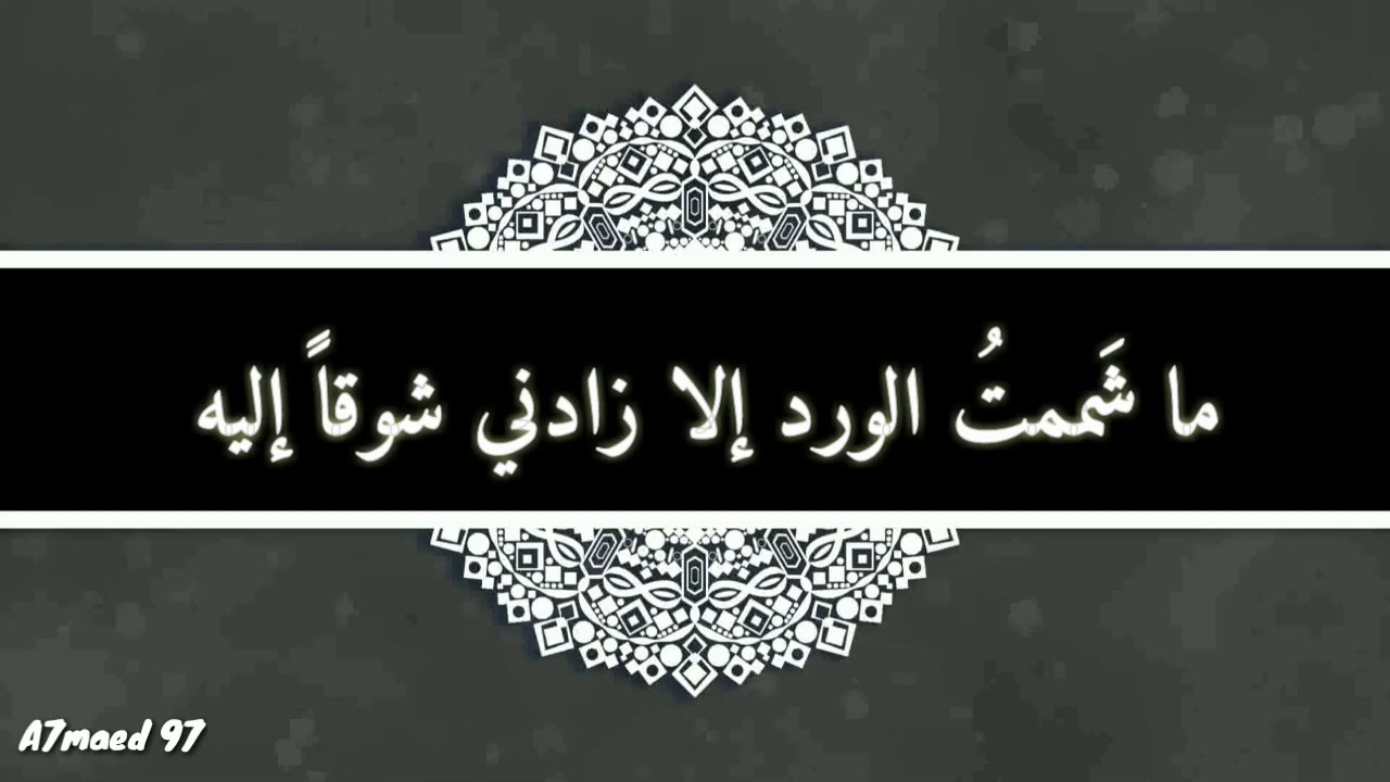 ما شممت الورد إلا ، زادني شوقاً اليه | مديح نبوي غاية في الروعة مع الكلمات وجودة عالية HQ