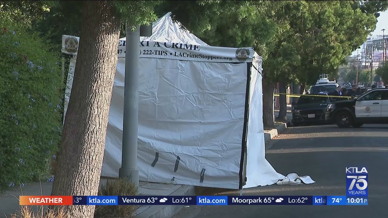 1 killed in shooting outside Hollywood cannabis event