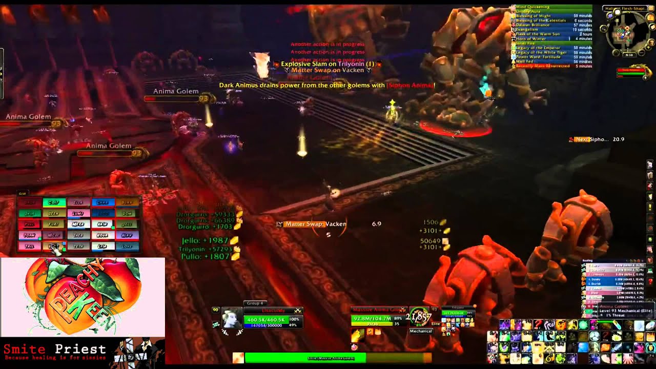 Dark Animus 25 Normal Guide - Smite Priest POV