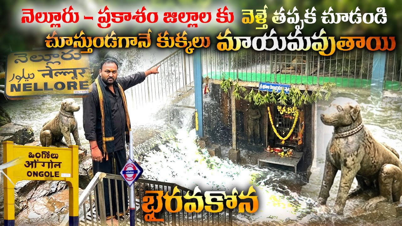 నెల్లూరు ప్రకాశం జిల్లాలకు వెళ్తే : చూస్తుండగానే కుక్కలు మాయమవుతాయి | Bhairavakona Temple