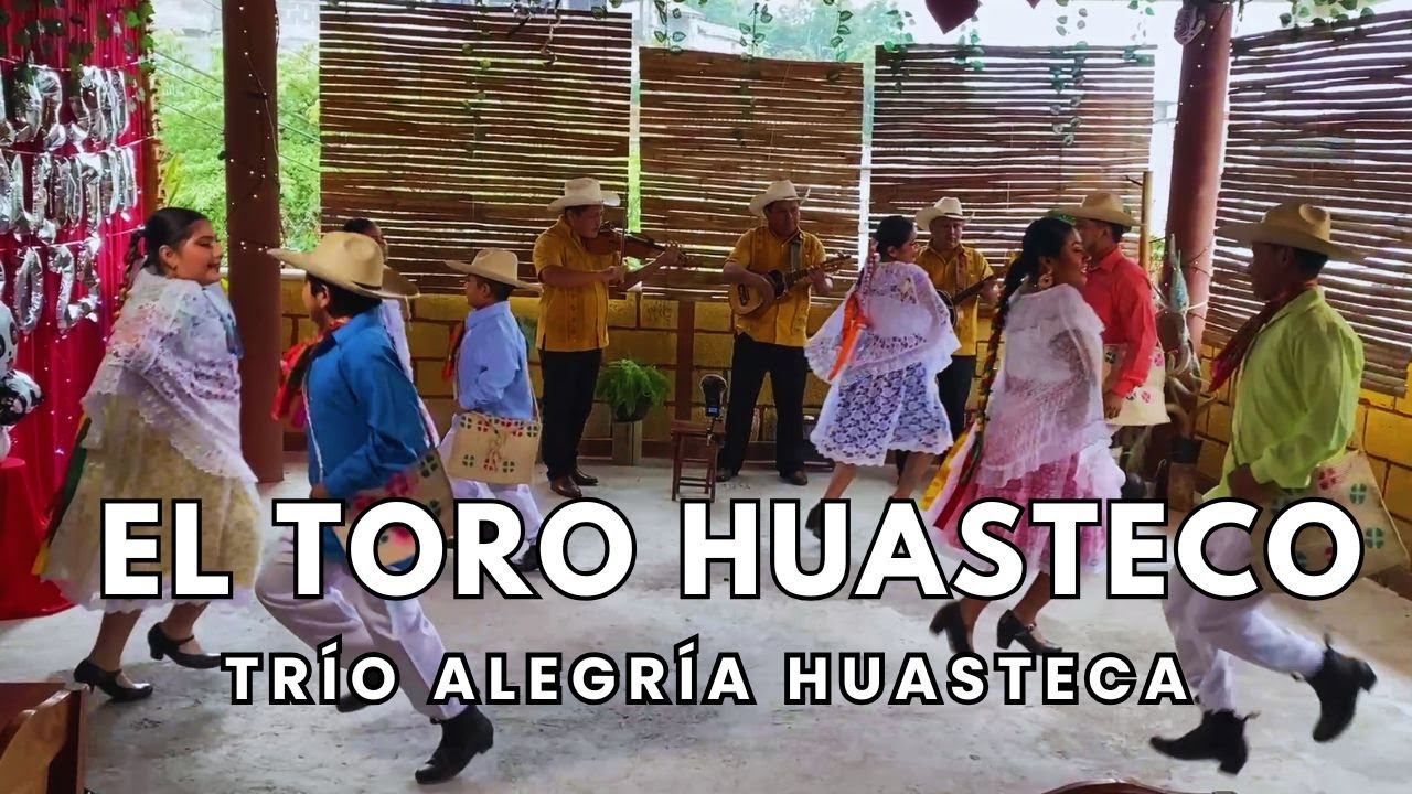 Trío Alegría Huasteca - El Toro Huasteco