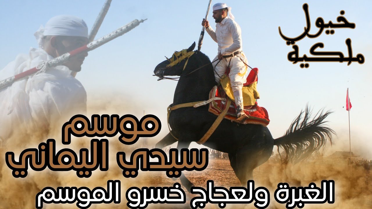 أجي تشوف كيفاش داز موسم سيدي اليماني بجماعة آيت واحي إقليم الخميسات. خيول ملكية وبارود ...