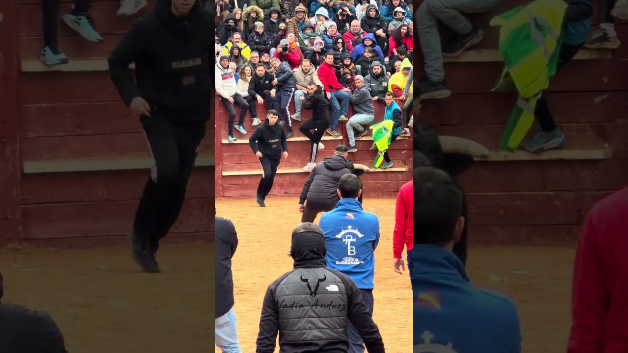 Quiebro a un toro! #toros #arte #bull #viral #rodeo #torosespa&ntilde;a