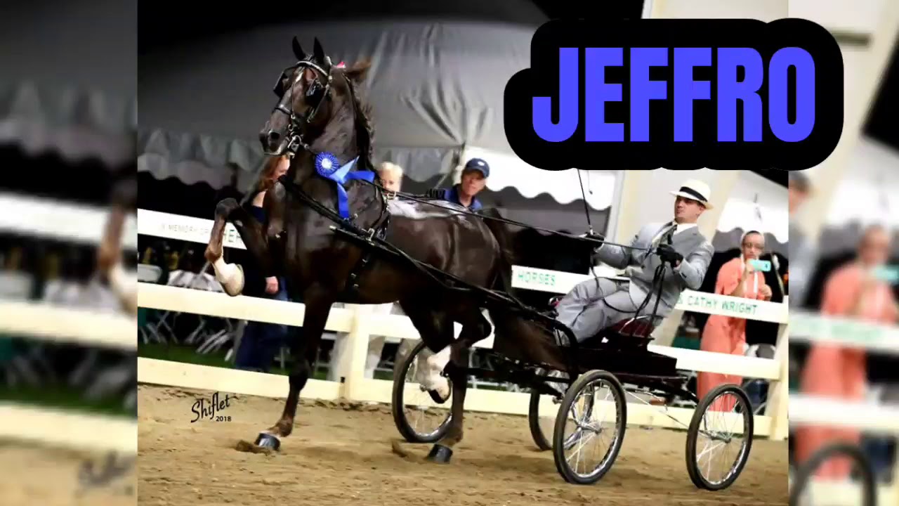 Jeffro