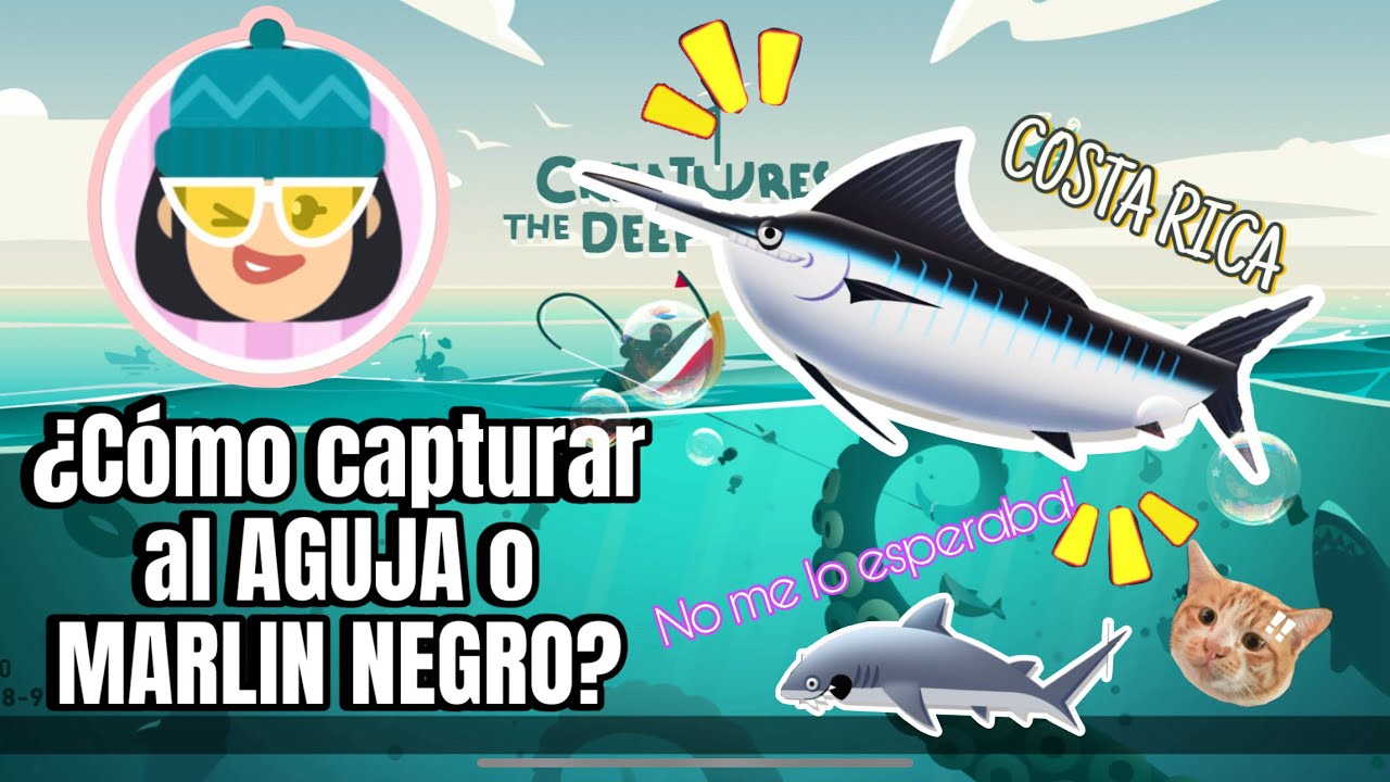 Aguja (Marlin Negro) / BLACK MARLIN | COSTA RICA | CREATURES OF THE DEEP