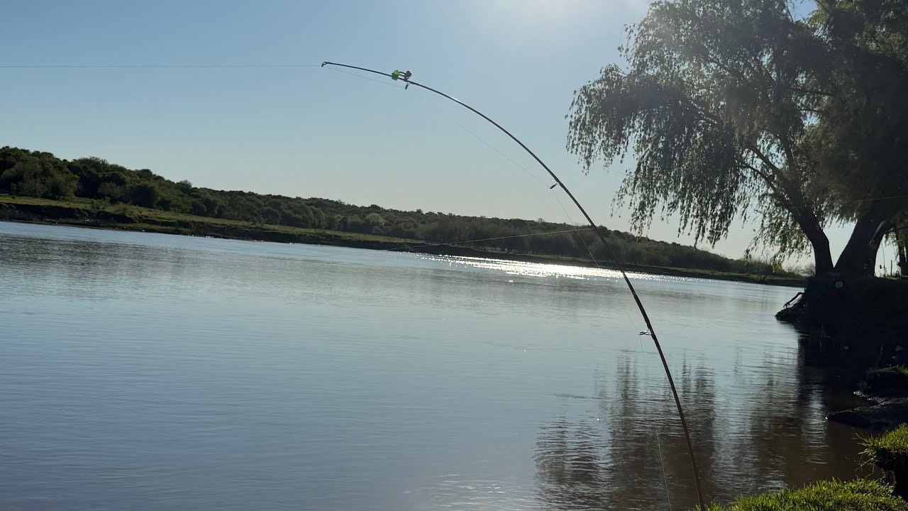 ES EL MOMENTO DE VENIR A ESTE PESQUERO LAS PIEDRAS BARADERO! BOGA A LA PARRILA PESCA Y CAMPAMENTO 🎣🔥