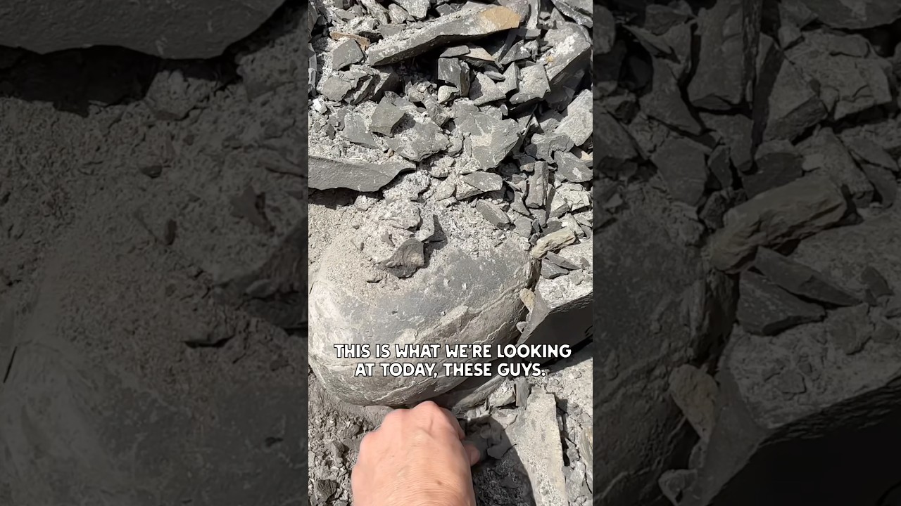 Rock hounding for Septarian nodules #geology #dragoneggs  ￼#rockhounding