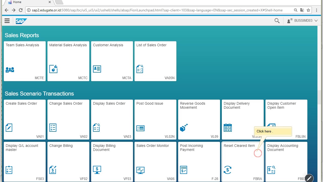 Reset Cleared Item by SAP Screen Personas design Fiori