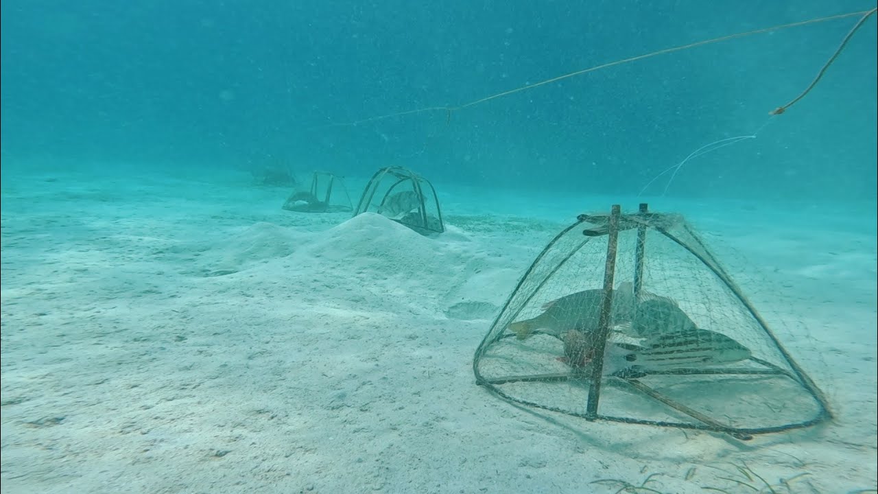SUPER Effective Talaga Naka jackpot Nanaman Ang FISH TRAP Namin.