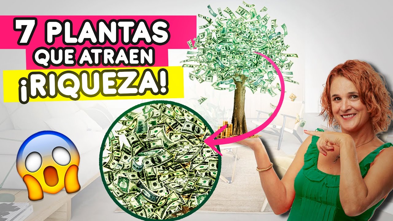 Atrae Riqueza a tu casa con estas 7 Plantas Feng Shui