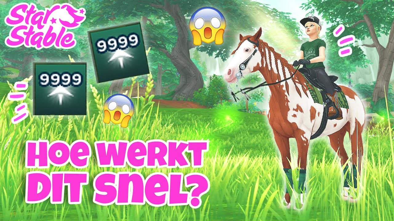 ZO KRIJG JE 10K LICHTEN BIJ DE HOLLEBOS UPDATE! | SSO (nl) | wolfxjessy