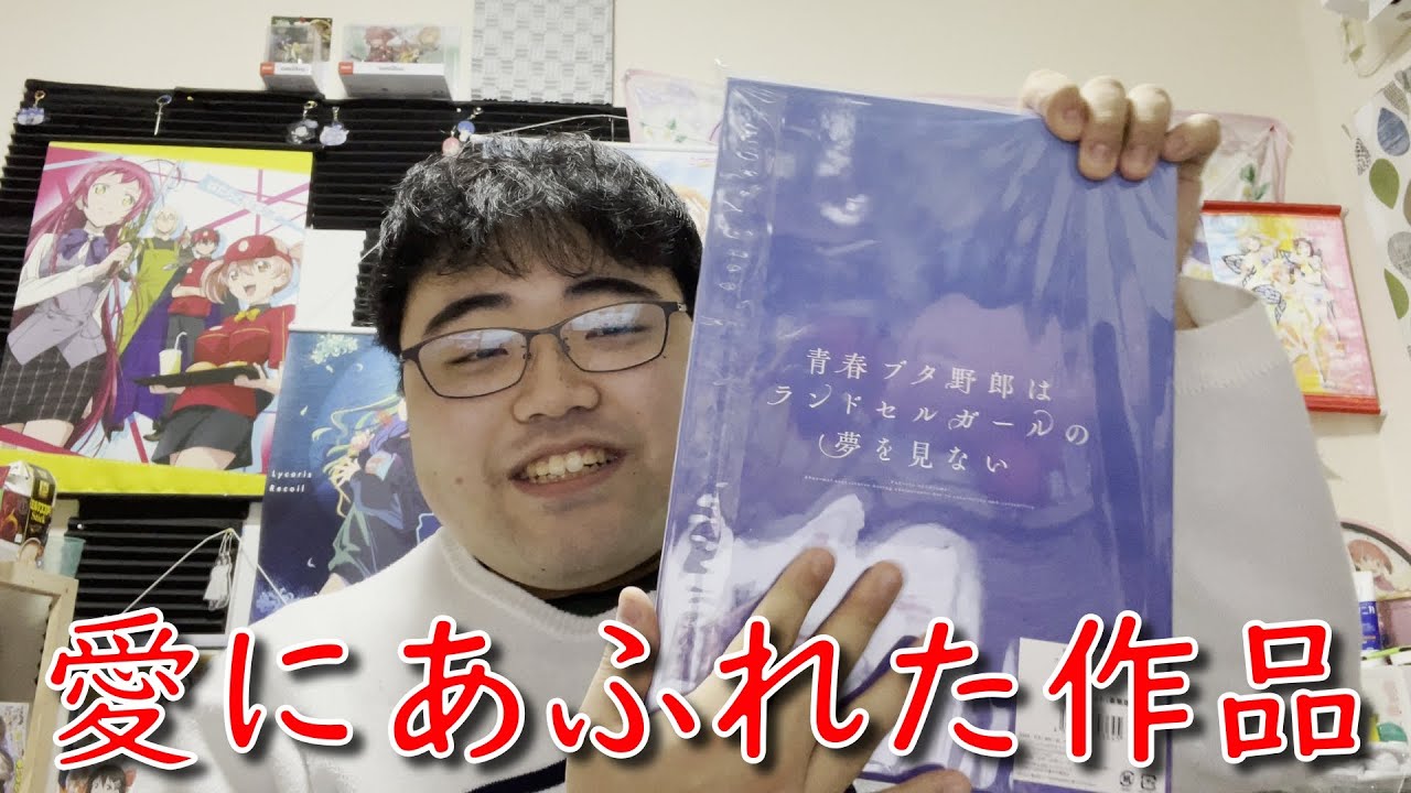 映画青春ブタ野郎はランドセルガールの夢を見ないを観た感想